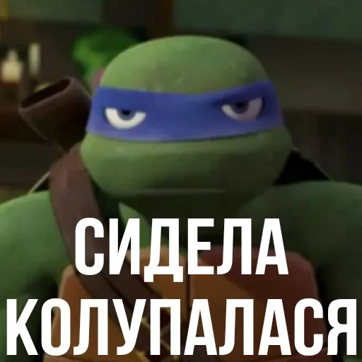 Turtles2012 emoji 🥺