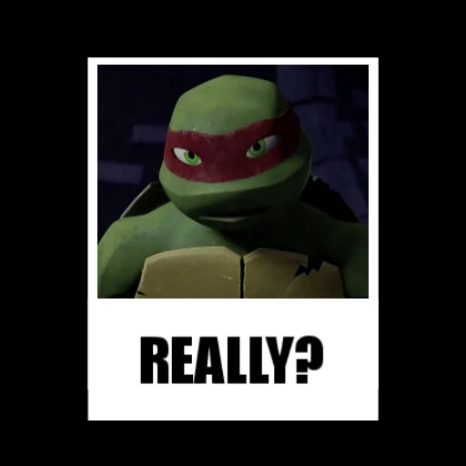 Turtles2012 emoji 🍳