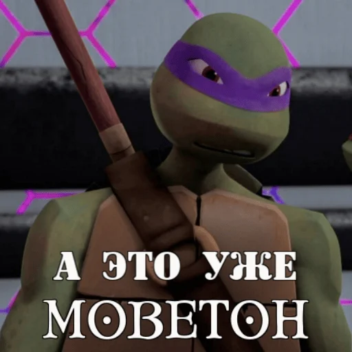 Turtles2012 emoji 🤨