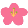 Telegram emojisi «Твоя весна 🌸» 🌺