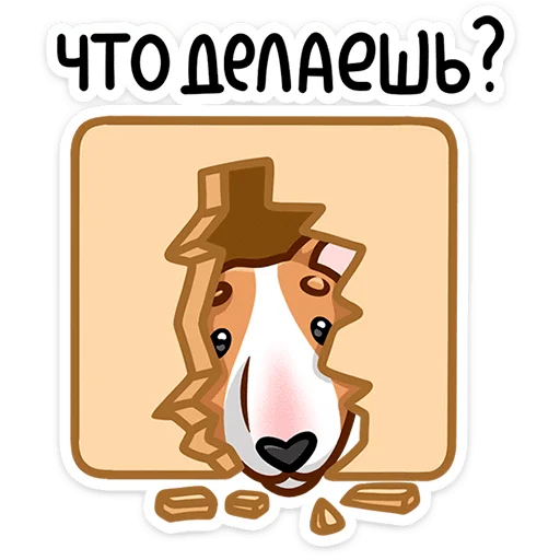 Telegram Sticker «Тай » 🤨