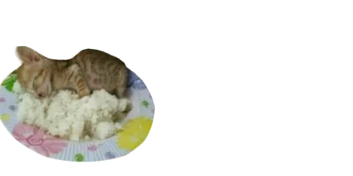 Telegram Sticker «Мікро-Кішки» 🍲