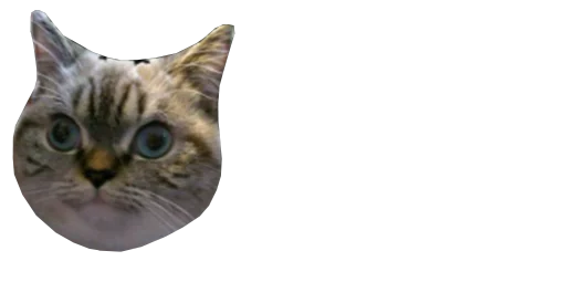 Стікер Telegram «Мікро-Кішки» 😐