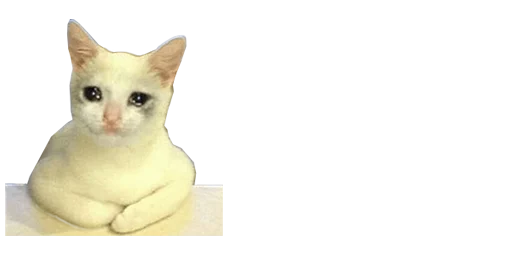 Telegram stiker «Мікро-Кішки» 😰