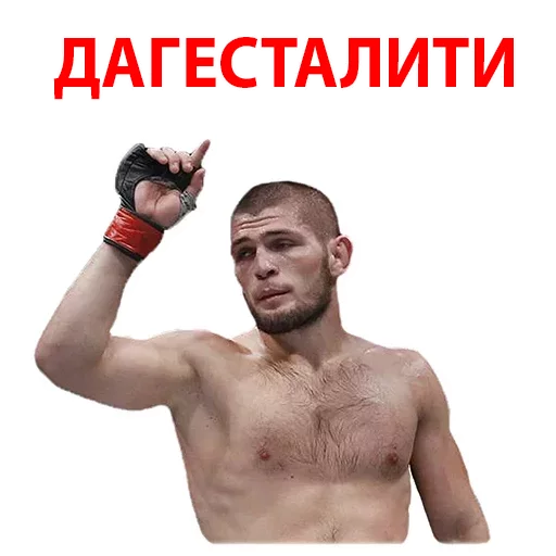 Telegram stickers Хабиб Нурмагомедов & Конор Макгрегор