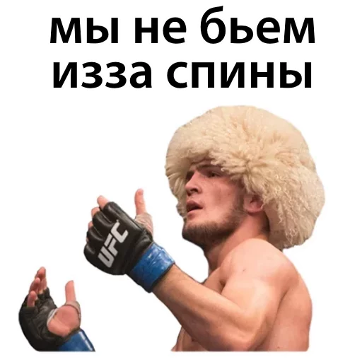 Хабиб Нурмагомедов & Конор Макгрегор sticker 👍