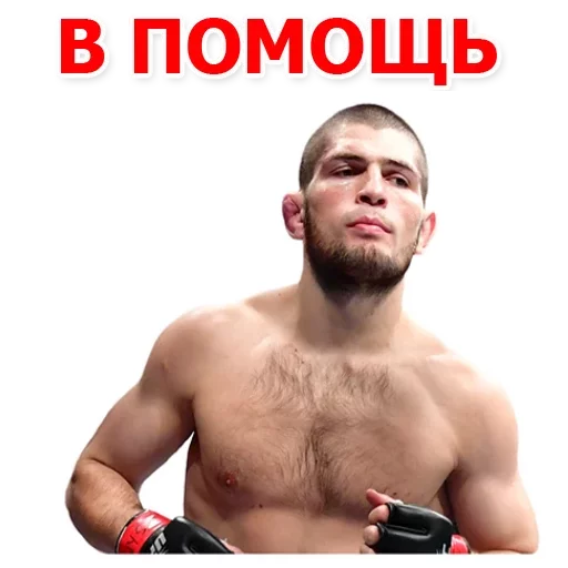 Telegram stiker «Хабиб Нурмагомедов & Конор Макгрегор» 😡