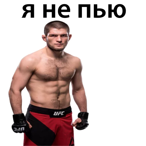 Хабиб Нурмагомедов & Конор Макгрегор sticker ☹️