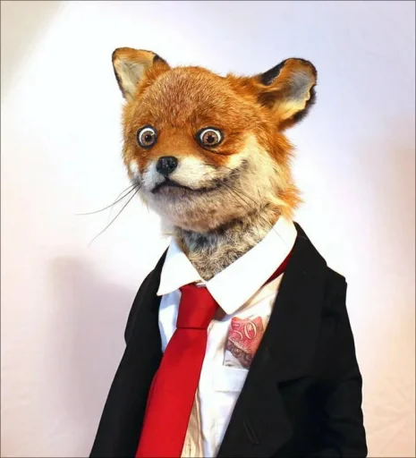 Стікер Fox 😍