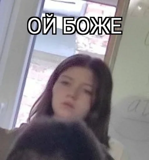 Стікер ЮРД-1Ж 😤