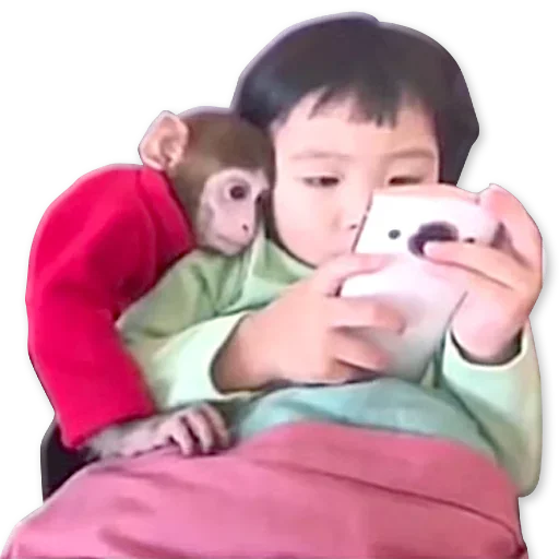 Monkeys | Обезьяны sticker 🐒