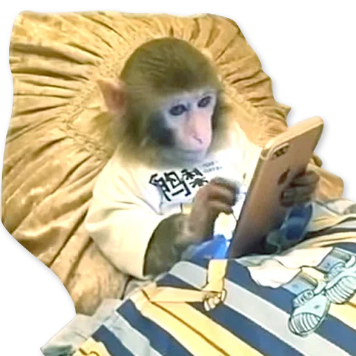 Monkeys | Обезьяны sticker 🐒