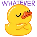 Duck stiker 🙄