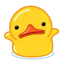 Duck sticker 🤷‍♂️