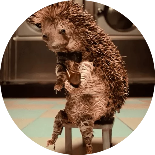 ? Hedgehog memes  sticker 😱