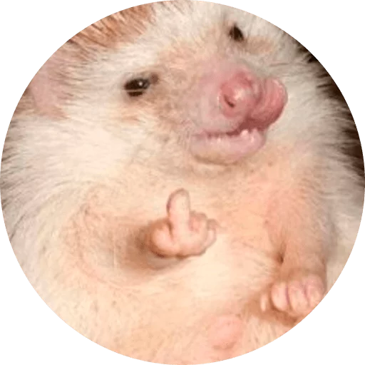Telegram Sticker «? Hedgehog memes » 😡