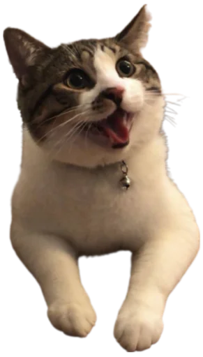 Telegram stiker «Cat Vibes» 😄