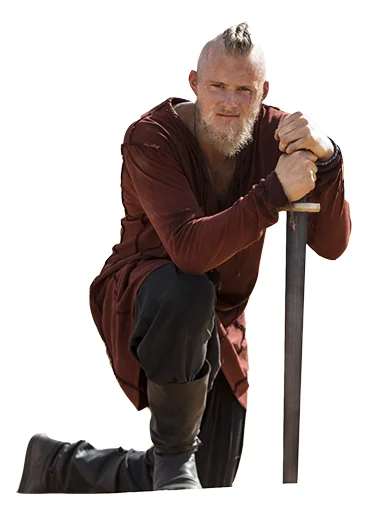 Vikings stiker 🗡