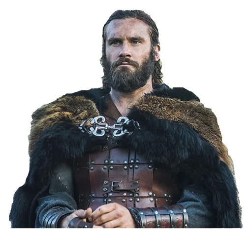 Vikings stiker 🧔