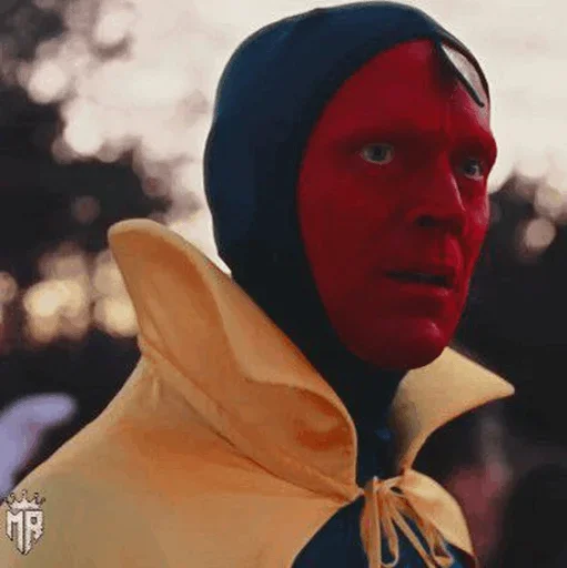 Vision Paul Bettany sticker 📺