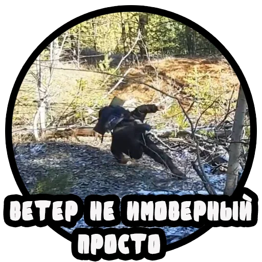 Стикер Telegram «Vizhivalovo» 🌬