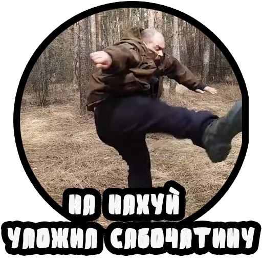Стікер Telegram «Vizhivalovo» 👊