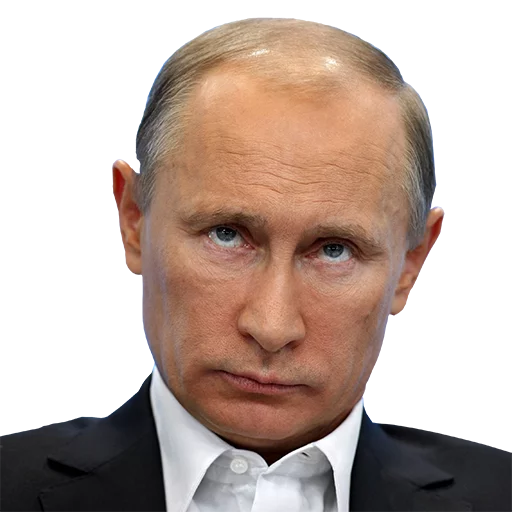 Стікер Vladimir Putin 😒