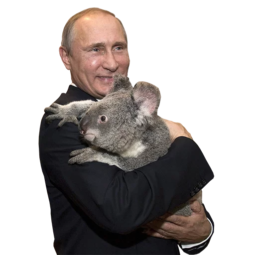 Telegram Sticker «Vladimir Putin» 🐨