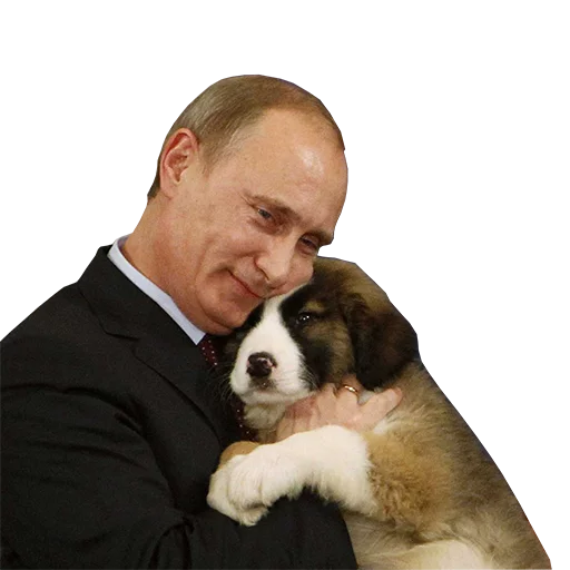 Vladimir Putin sticker 🐶