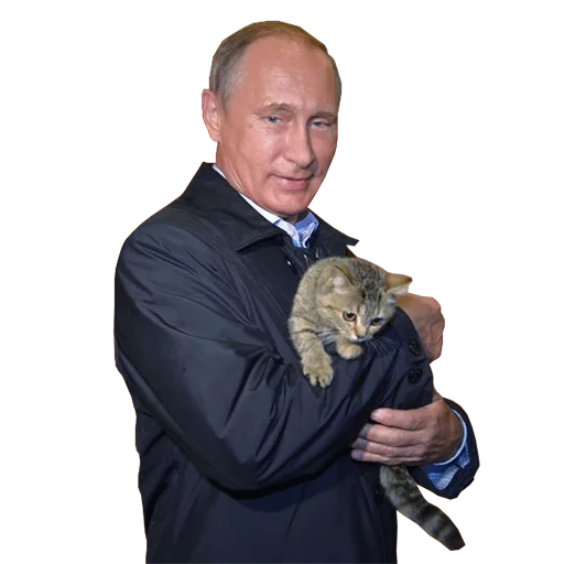 Эмодзи Vladimir Putin 🐱