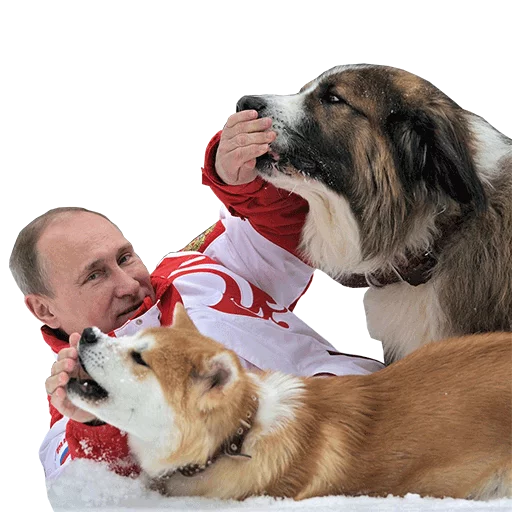 Эмодзи Vladimir Putin 🐺