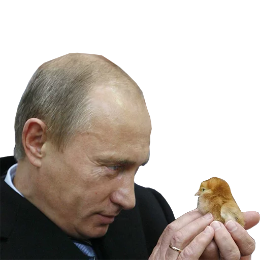 Емодзі Vladimir Putin 🐥