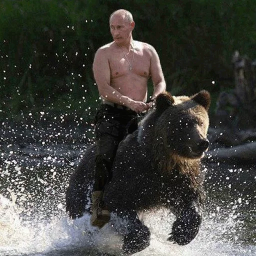 Эмодзи Vladimir Putin 🐻