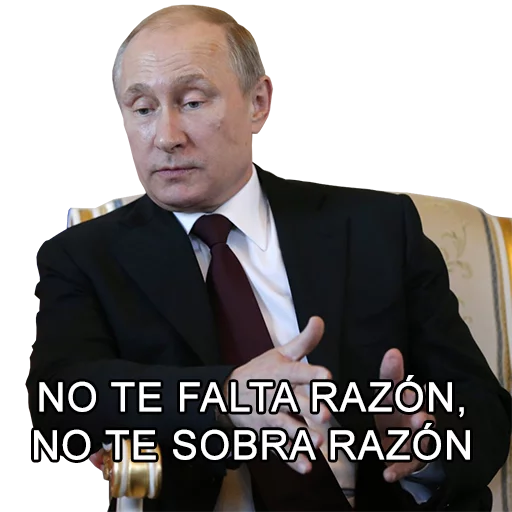 Telegram Sticker «Vladimir Putin» 😶