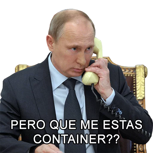 Стікер Vladimir Putin ⁉