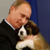 Емодзі Vladimir Putin 🤩