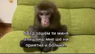 Эмодзи Мемные обезьяны 😱