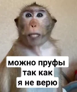Эмодзи Мемные обезьяны ☺️