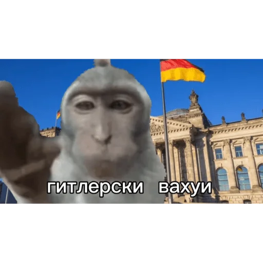 вахуи sticker 🐵