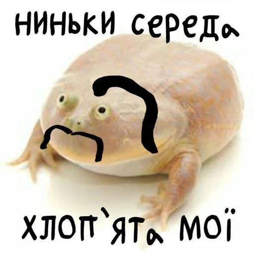 Эмодзи pack_234 🐸