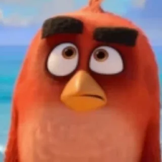 Angry Birds  emoji 🤨