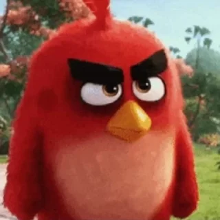 Angry Birds stiker 😡