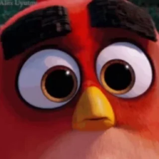Angry Birds sticker 🥺