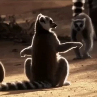 Стикер Lemurs 🫳