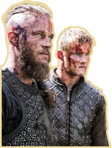 Vikings sticker 😡