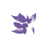 violet magic emoji 🌸