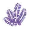 violet magic emoji 🌿