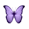 violet magic emoji 🦋