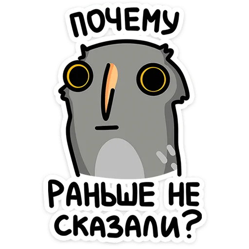 Сова Вова  sticker 🫤