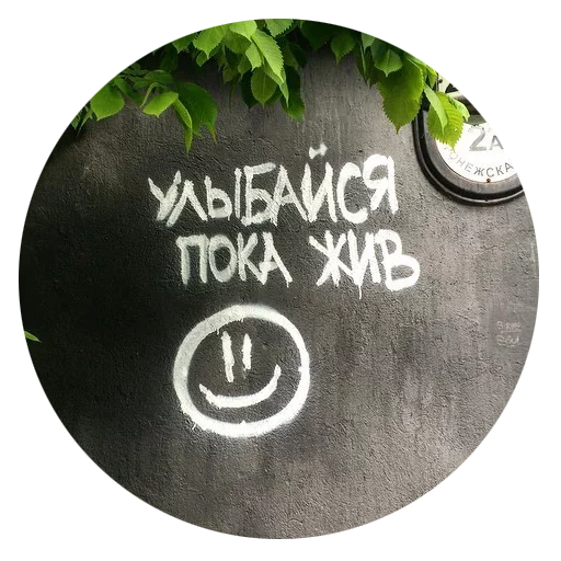 Walls can talk  sticker 😕
